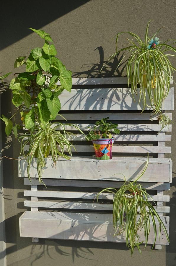 Monoambiente La Pitota Apartman Paraná Kültér fotó